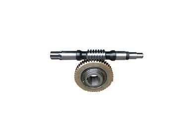 Passenger Hoist Parts Worm and Worm Wheel Hot Sale