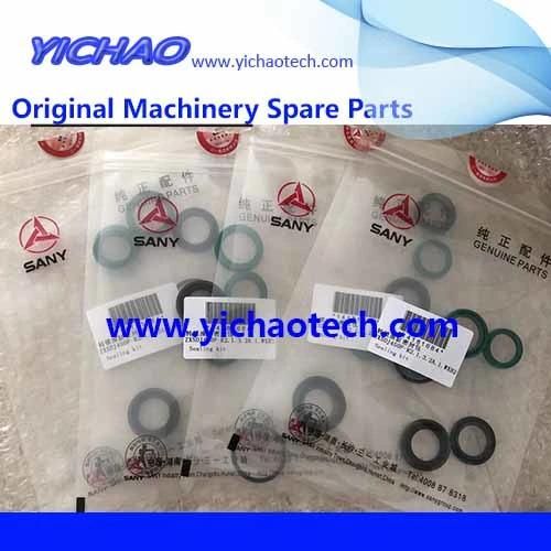 Sany Aftermarket Container Equipment Port Machinery Parts Spin Lock Cylinder Seal Kit 14181684