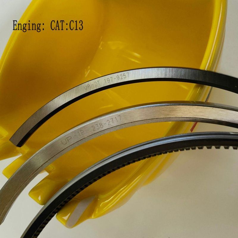 Piston Ring 197-9257 265-1113 238-2717 for Excavator E345D E349d Wheel Loader 966h Dumptruck 730 Engine C13 C11
