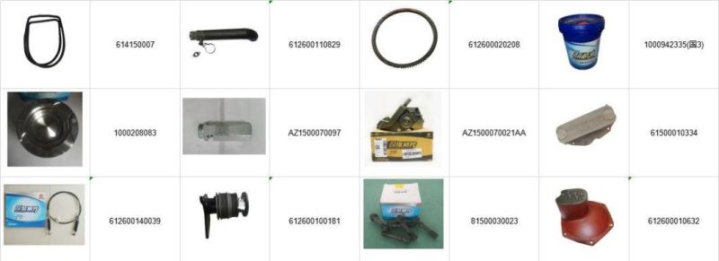 OEM Construction Machinery Part for Truck with Water Pump and Oil Filter