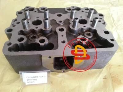 Cylinder Head Nt855 3050418