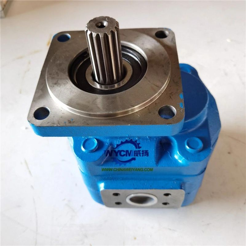 S E M 650b Wheel Loader Spare Parts W066900000b Hydraulic Gear Pump for Sale