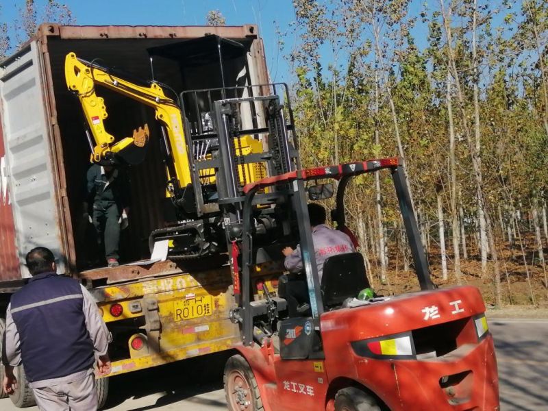 New Fast Delivery Mini Hydraulic Excavator 1 Ton with CE & EPA for Digging