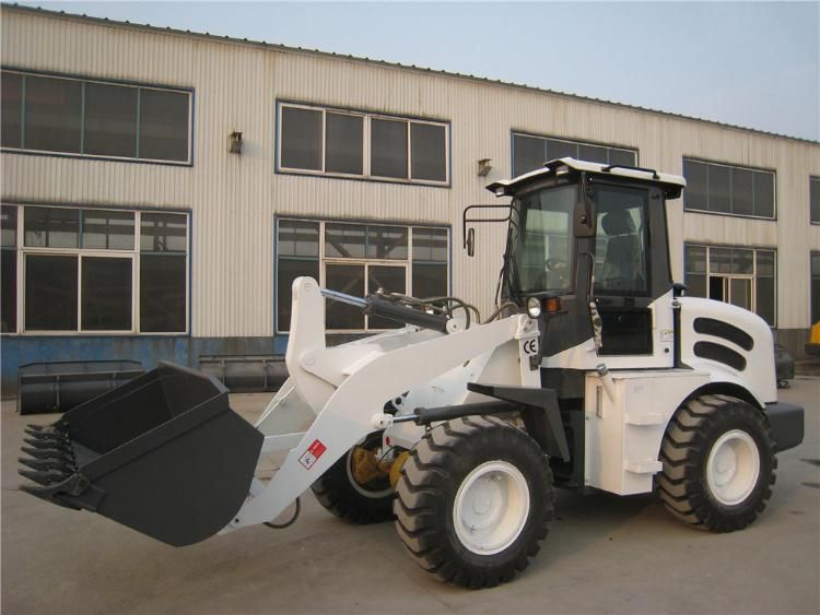 Hot Sale 2 Ton Mini Loader CS920 Small Loader with Ce EPA