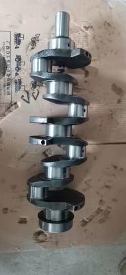 Crankshaft Yunnei 490 Yunnei Yn27gbz Engine Parts for Mini Small Loader