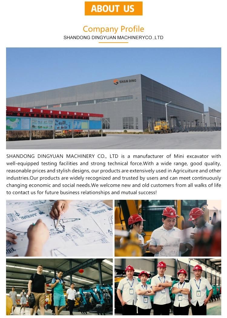 Shanding Brand Excavator 5 Tons Hydraulic Excavator