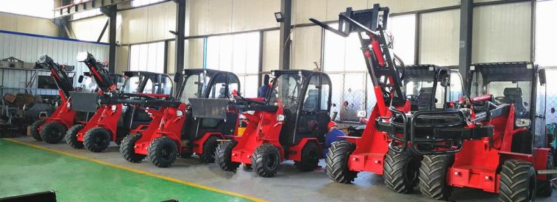 M910 New Multi-Function Europe Popular Ce Mini Loader