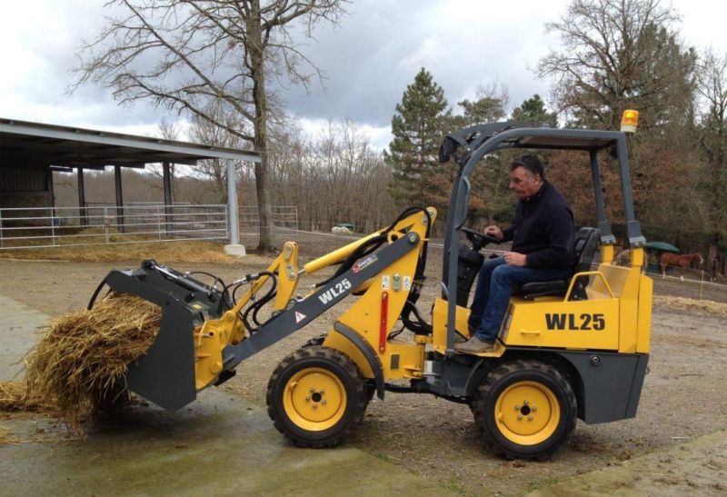 Compact Articulated Mini Wheel Loader for Sale with Euro Quick Coupler Quick Hitch