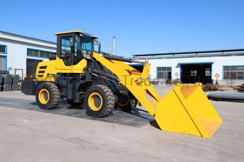 Unloading Height 4.5 Meters Large Multi-Functional Loader