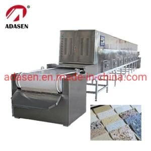 Hot Sale Tunnel Continuous Microwave Drying and Curing Equipment for Building Marble Slabs