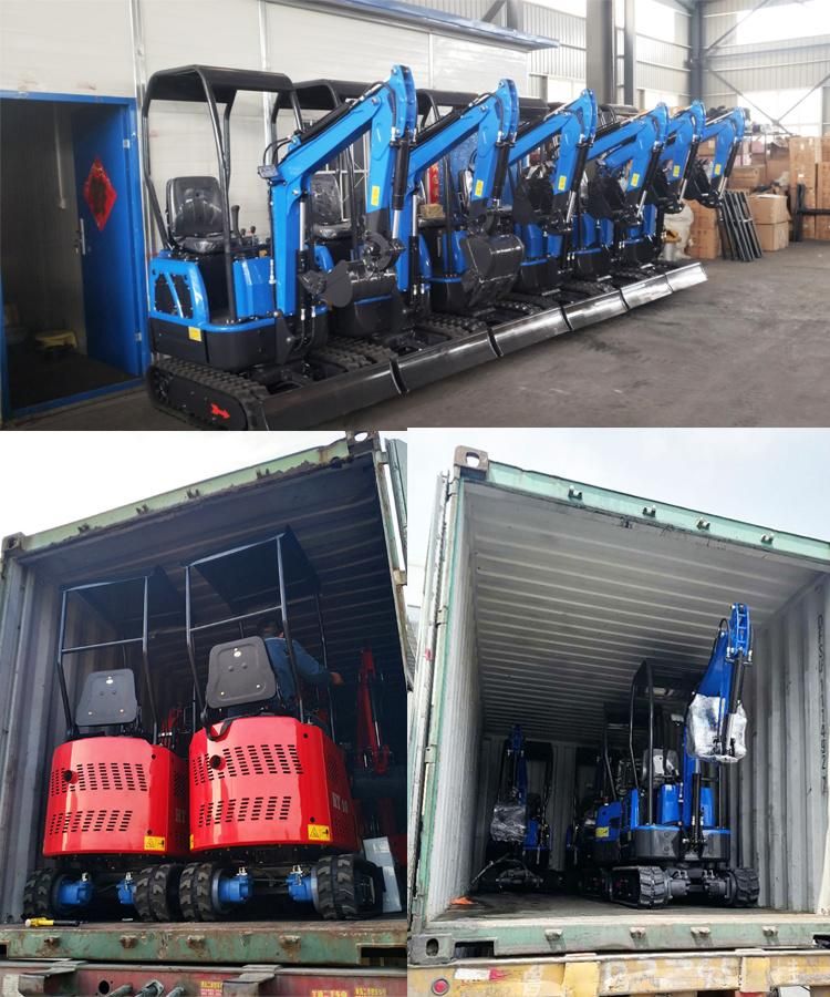 China Popular Price EPA & Euro 5 Engine Mini Digger Sales in Europe