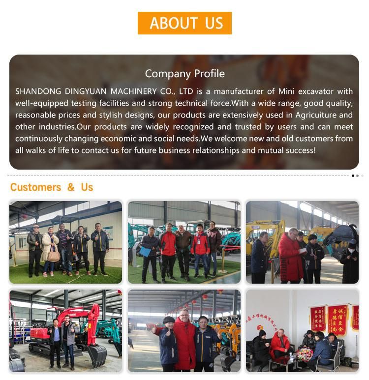 Shanding Mini Excavators 2 Ton with Boom Swing with Crawler Stretch EPA and Europe 5 Standard