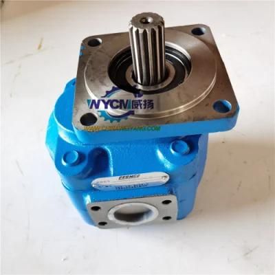 S E M 650b Wheel Loader Spare Parts W066900000b Hydraulic Gear Pump for Sale