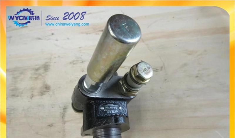 Weichai Deutz Oil Transfer Pump 612600080799 13029828 for Wheel Loader LG936L
