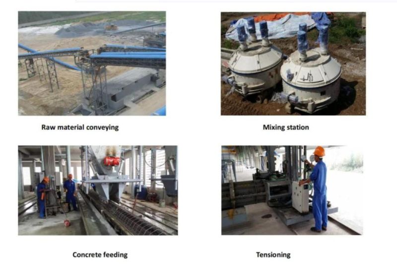 Approved Processing, Welding, Paiting Tangchen 6m-15m Concrete Mixing Plant Precast