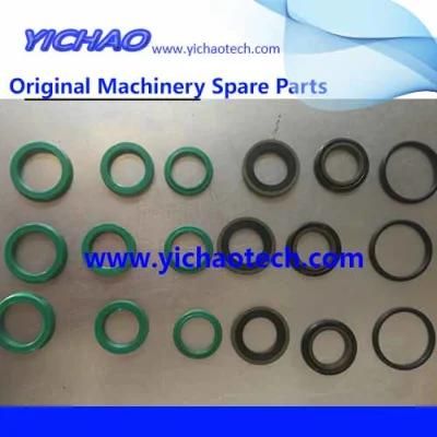 Sany Aftermarket Container Equipment Port Machinery Parts Spin Lock Cylinder Seal Kit 14181684