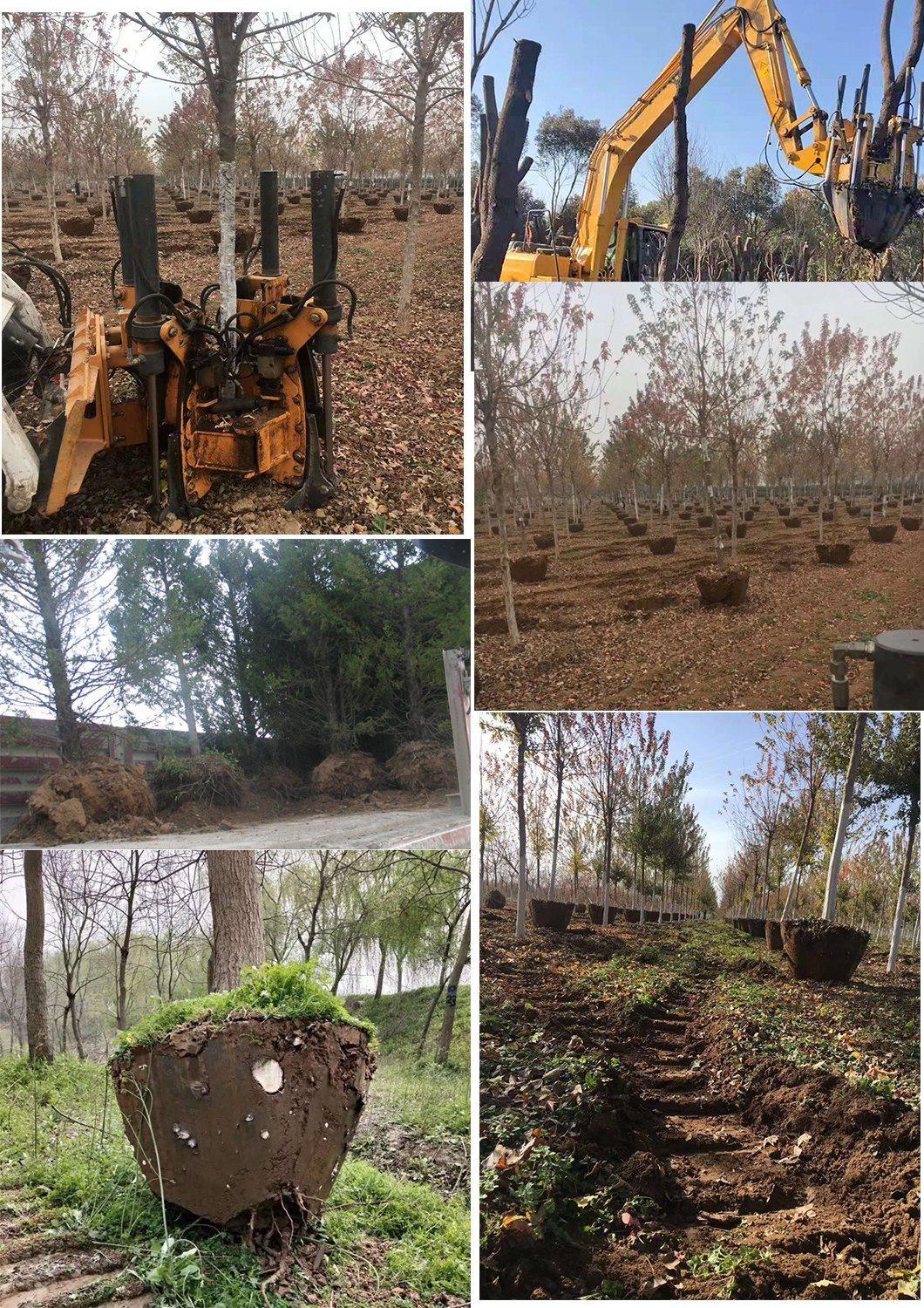 Skid Steer Loader/ Excavator Tree Spade for Transplanting Trees