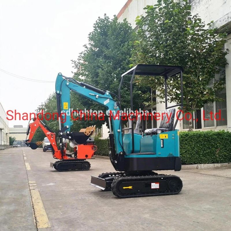 1000kg Hydraulic Mini Excavator with Swing Arm for Sales