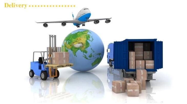 D155 175-32-00202 Track Link with Shoes Track Group