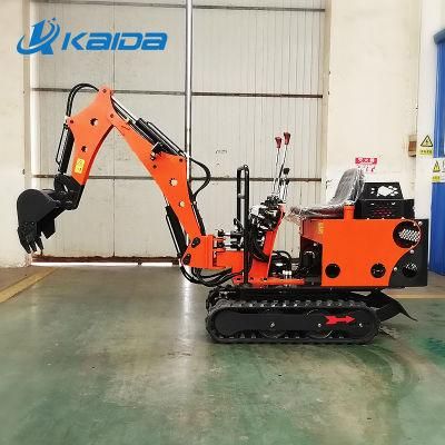 0.8 Ton China New Hydraulic Multifunction Crawler Mini Excavator for Garden