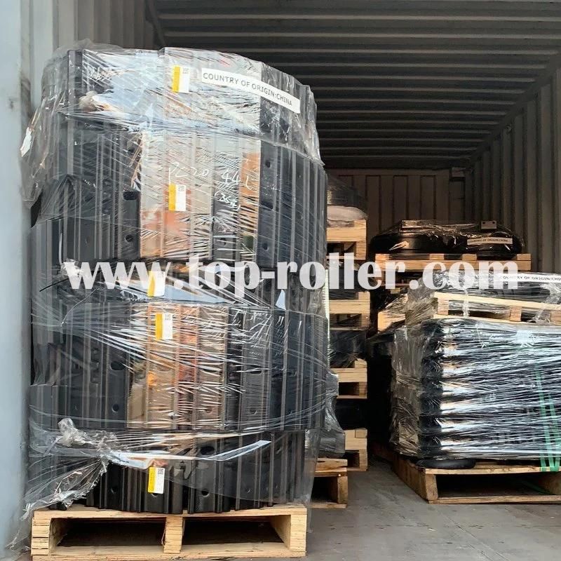China Supplier PC100 Track Group Track Shoe for Excavator Spare Parts