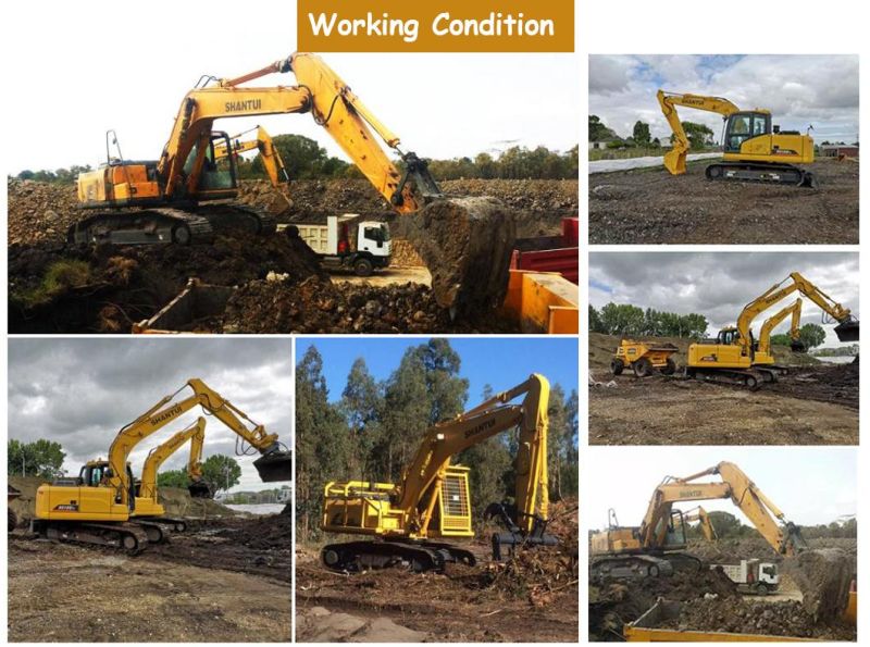 Digger Machine Se215 New 22 Ton Crawler Excavator Construction Excavator Sale