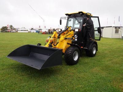 Haiqin Brand Strong (HQ910PRO) with Euro5 Engine Compact Wheel Loader