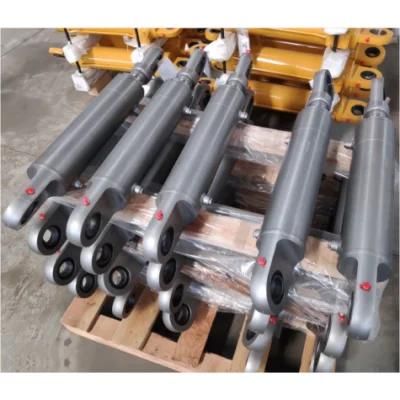 Hydraulic Cylinder with Double Acting Piston Rod Blender Fittings Discharge
