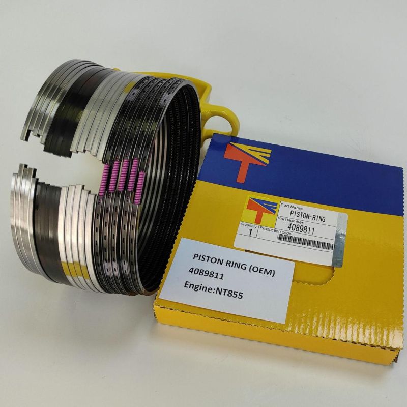 High Quality Diesel Engine Mechanical Parts Piston Ring 4089811 for Buildozer Ty220 Ty320 Engine Nt855 Generator Set