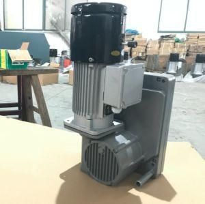 Electric Hoist Motor for Hanging Gondola Cradle