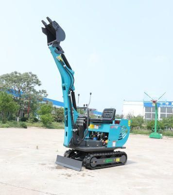 Smooth Operating Carter CT06 Mini Excavator with Gasoline Engine for Cold District
