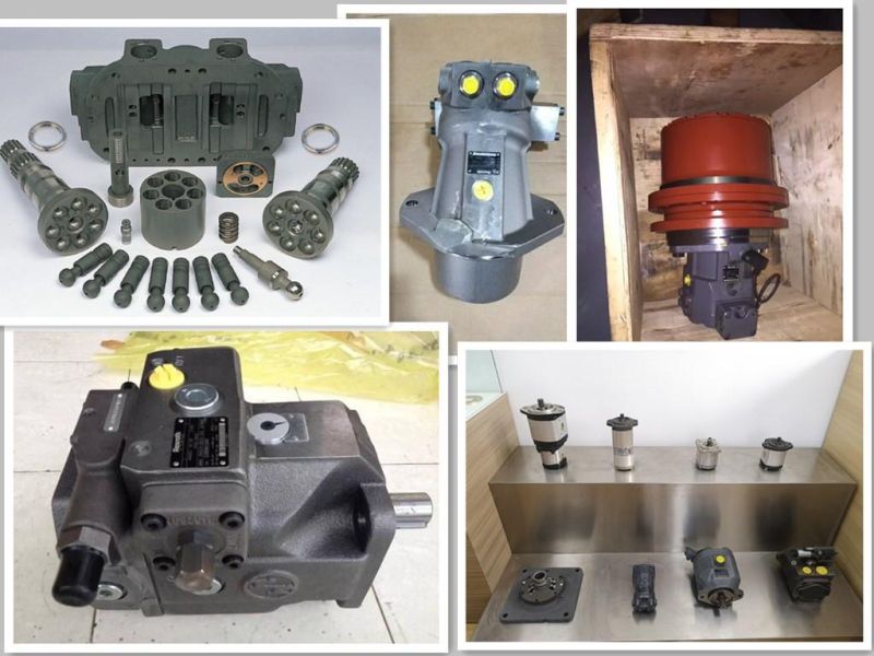 A6vm107 Hydraulic Piston Motor for Truck Crane Drum Roller Hydr Gear Pump