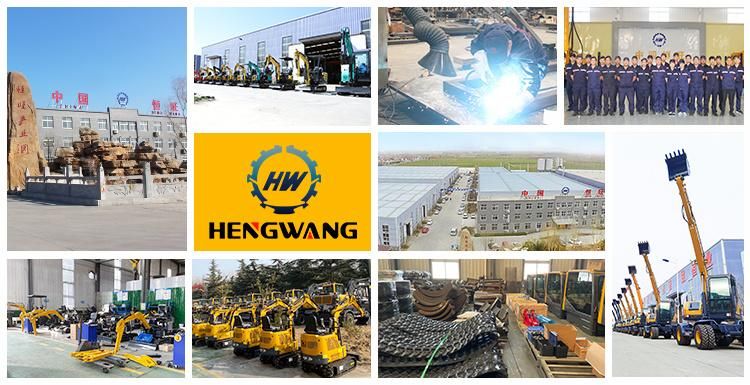 China Large Crawler Excavator, Big Size Hydraulic Construction Equipment for Project