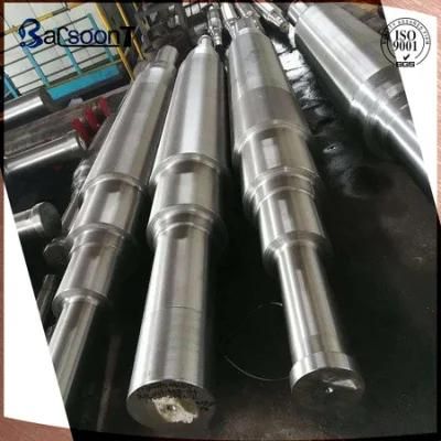 Steel Forged Piston Rod/Lift Rod/Shaft with Normalizing