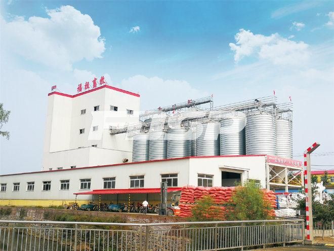 Hot Galvanized Grain Storage Steel Silo 1000t