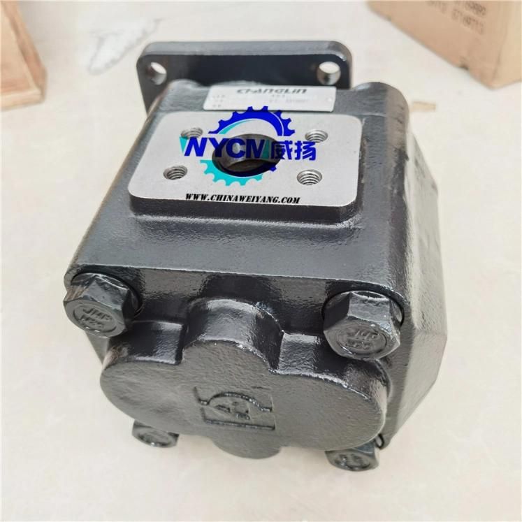 Original Changlin W-01-000147 Gear Pump Cbgj3125 for Sale