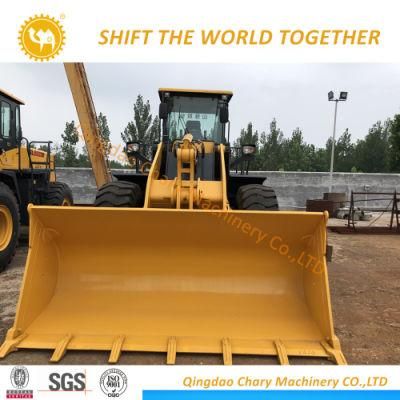 Brand New Shantui SL50wn Wheel Loader for Sale