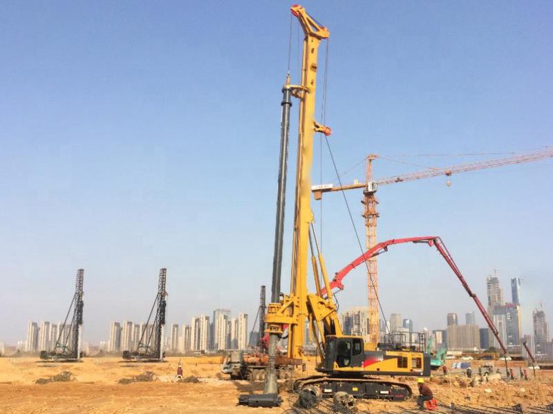 China Manufacturer Xr220d Hydraulic Crawler Rotary Pile Drilling Rigs for Sale