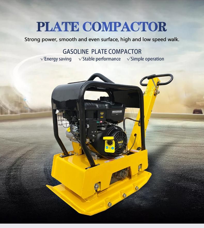 Wacker Plate Compactor Reversible Gasoline Engine