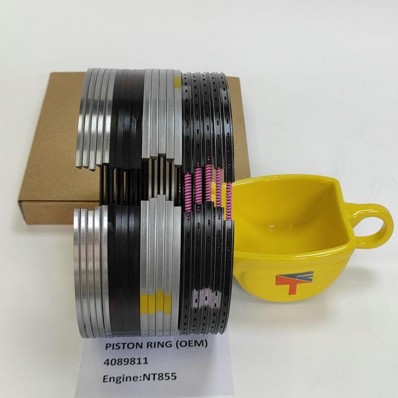 High Quality Diesel Engine Mechanical Parts Piston Ring 4089811 for Buildozer Ty220 Ty320 Engine Nt855 Generator Set