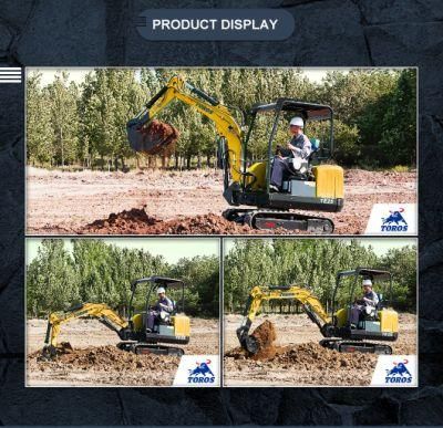 2.2ton Mini Excavator with Cheapest Price for Sale