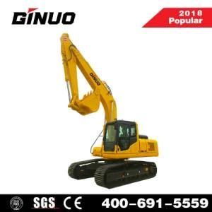 Jining Ginuo 21ton Hydraulic Brand New RC Crawler Excavator for Sale