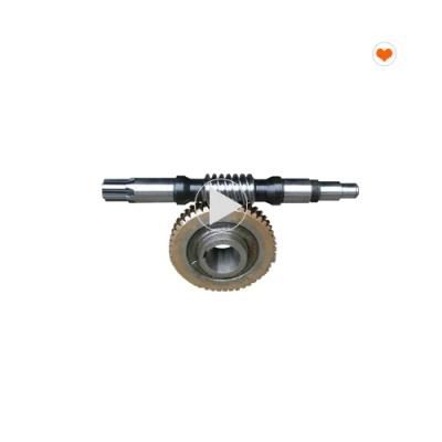 Worm Wheel and Worm for Gjj and Baoda Passenger Hoist