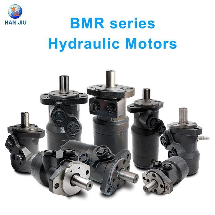 High Starting Torque Hydraulic Wheel Motor Bmrw