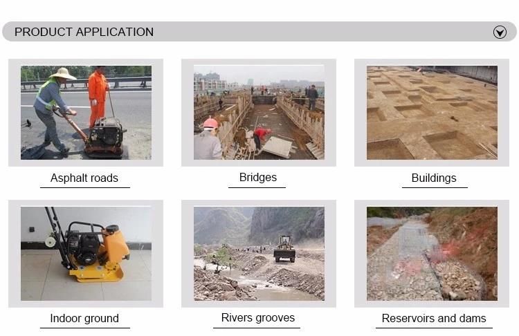 Professional Manufacturer Vibratory Asphalt Soil Plate Compactor for Sale