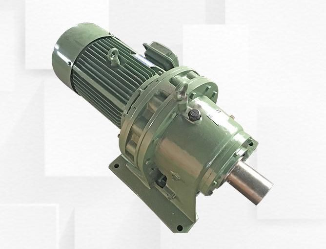 Reducer with Mixer Flat Belt and Cycloidal Conveyor Belt Reducer