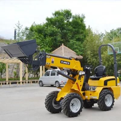 Schaffer Telescopic Boom Wheel Loaders