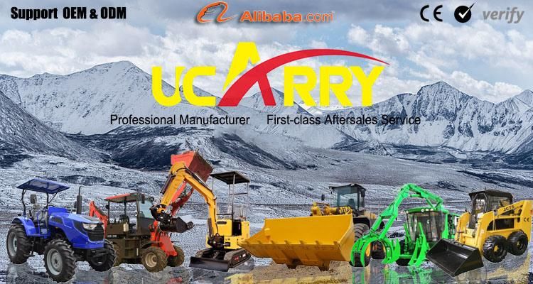 Professional Factory Sale Mini Digger Hydraulic Crawler Excavator with CE