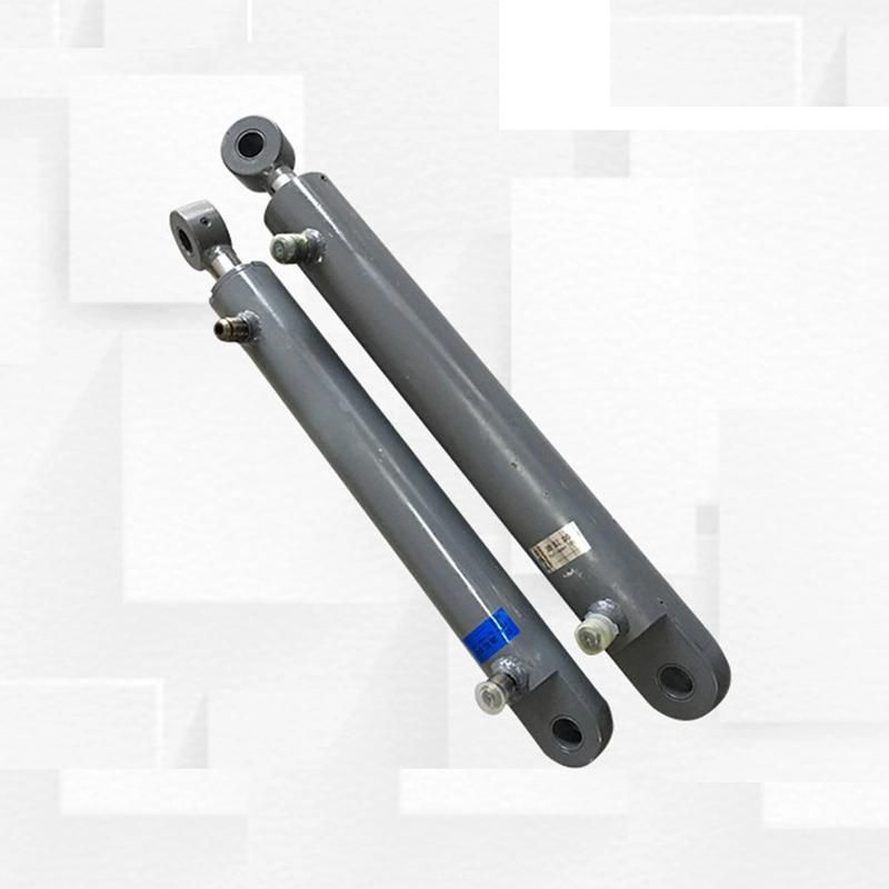 Hydraulic Cylinder with Double Acting Piston Rod Blender Fittings Discharge