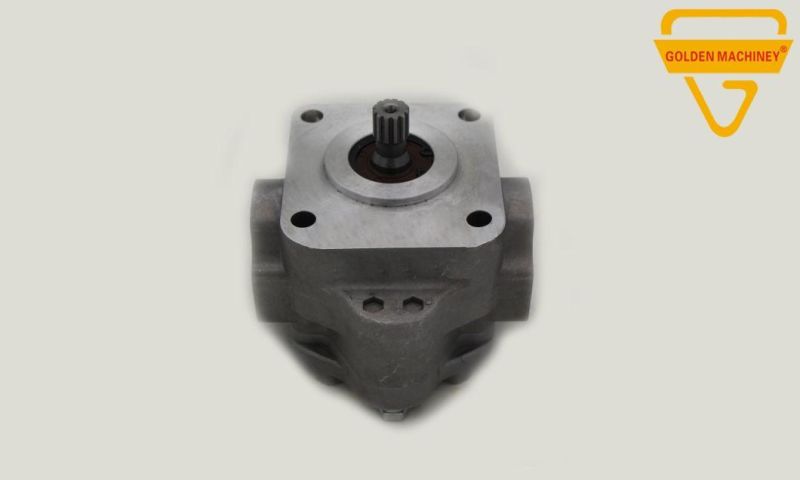 Gk Excavator Parts Hydraulic Pump Parts Gear Pump